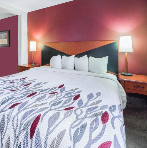 Red Roof Inn Etowah - Athens, TN image 10